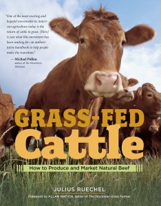 Grass fed cattle